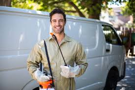 Best Termite Inspection and Treatment  in Lakemont, PA